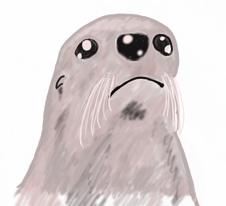 とどろ
